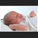 Baby_009.jpg