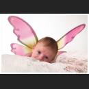 Baby_012.jpg